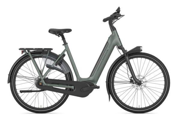 Gazelle – Arroyo C8+ – Elite – L - Twilight Green