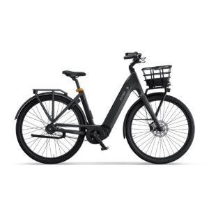 Ecoride - Ambassador Gen 4 - Belt - Coaster - Mat Sort