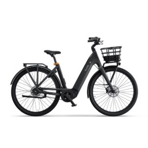 Ecoride - Ambassador Gen 4 - Belt - Disk - Black