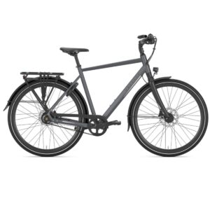 Gazelle - Chamonix S11 - Alfine 11 - H - Cloud Gray