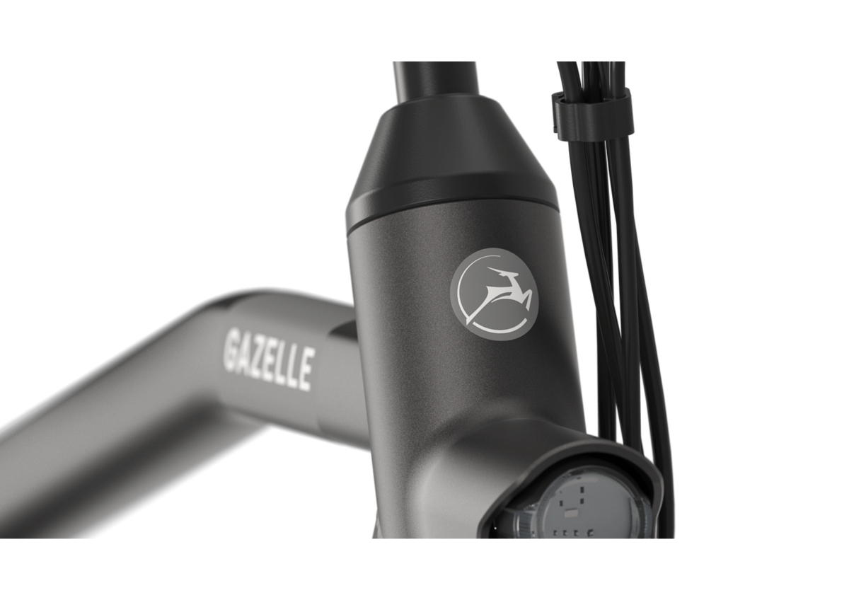 Gazelle - Esprit C7 - HMS - Nexus 7 - H - Space Anthracite